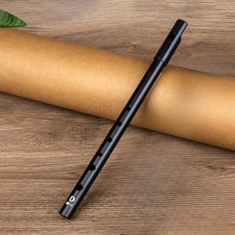Tin Whistle Flute - D Key Fischietto di latta Principiante