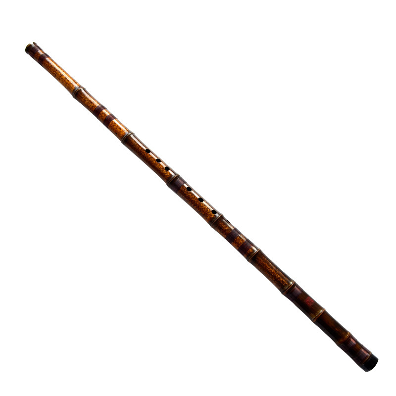 Musical Instrument Xiao - Flauto Verticale in Bambù Viola YPXD