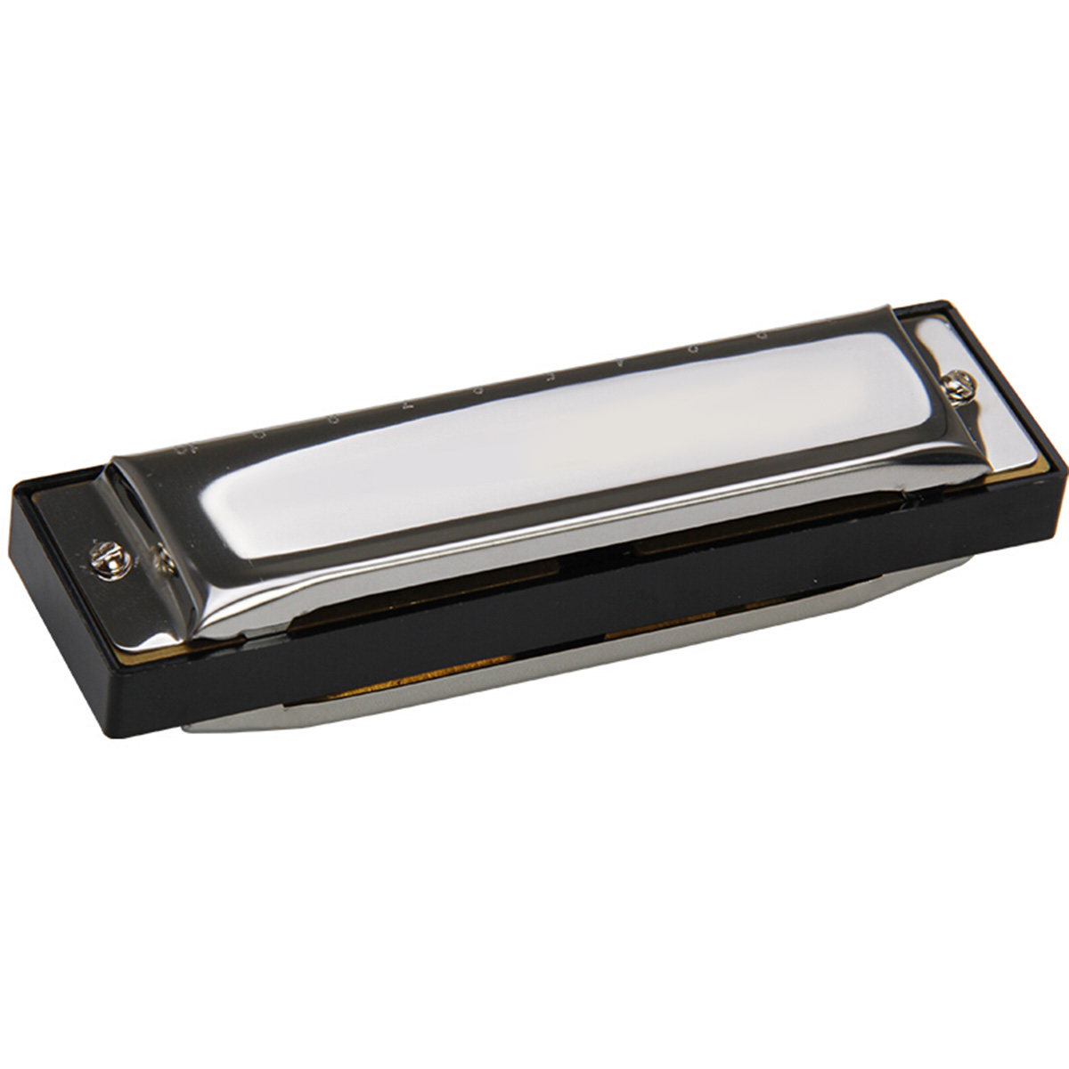 Armonica Swan a 10 fori in ton - A Musical Instrument With Keys recensione e prezzo