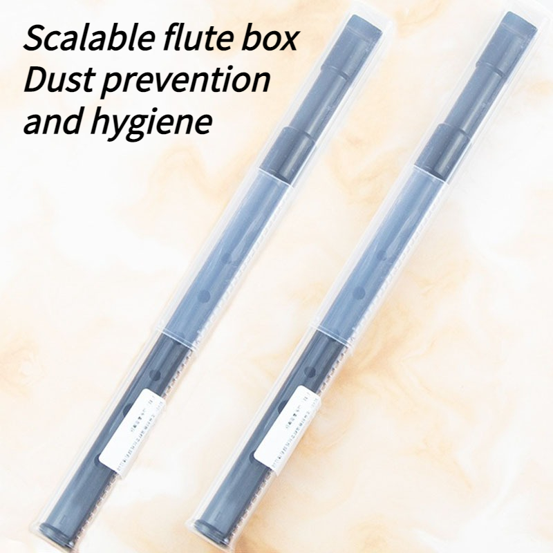 Fischietto di latta in resina  - Tin Whistle Flute recensione e prezzo