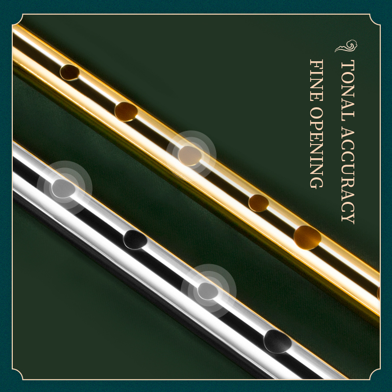 Flauto con fischio irlandese p - Tin Whistle Flute recensione e prezzo