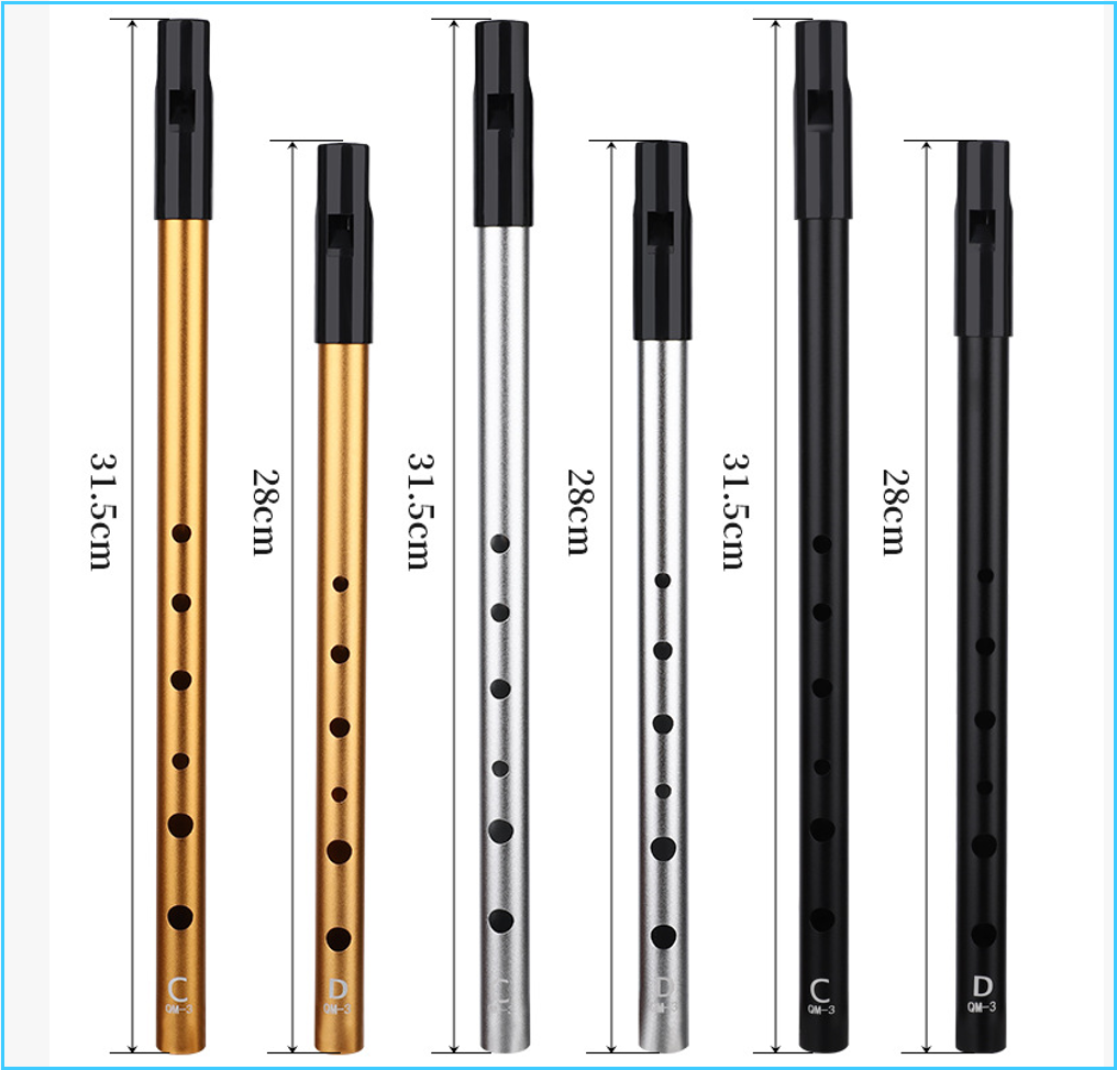 Autentica Fisarmonica Irlandes - Tin Whistle Flute recensione e prezzo