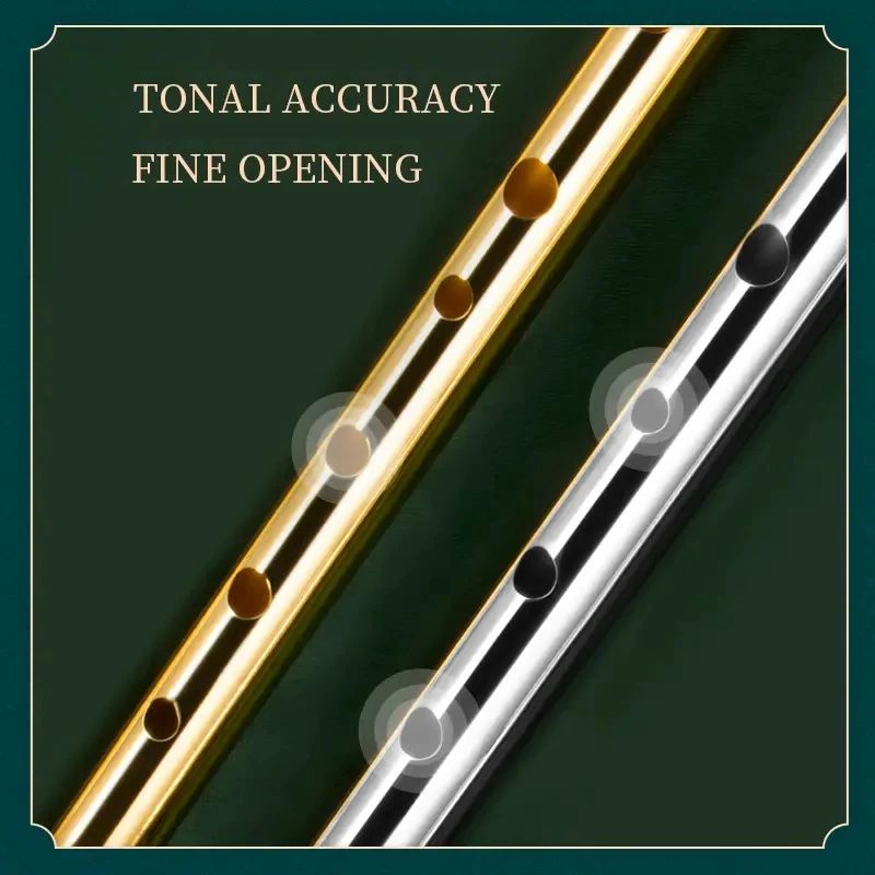 Autentica Fisarmonica Irlandes - Tin Whistle Flute recensione e prezzo