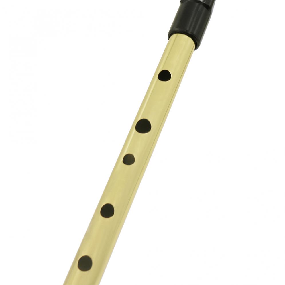 Fischio irlandese flauto Sopra - Tin Whistle Flute recensione e prezzo