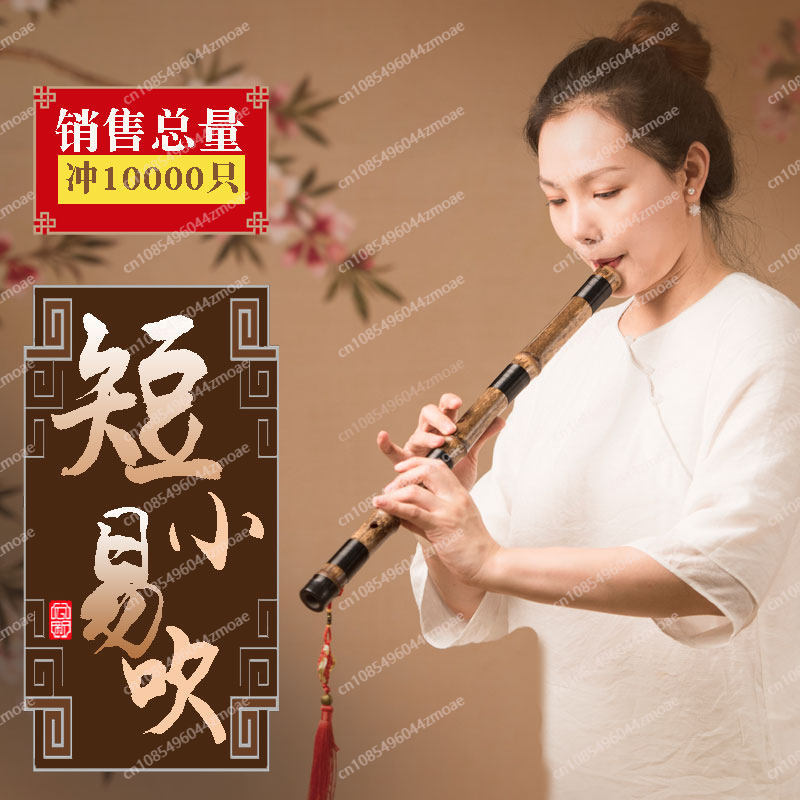 Flauto professionale in bambù  - Musical Instrument Xiao recensione e prezzo