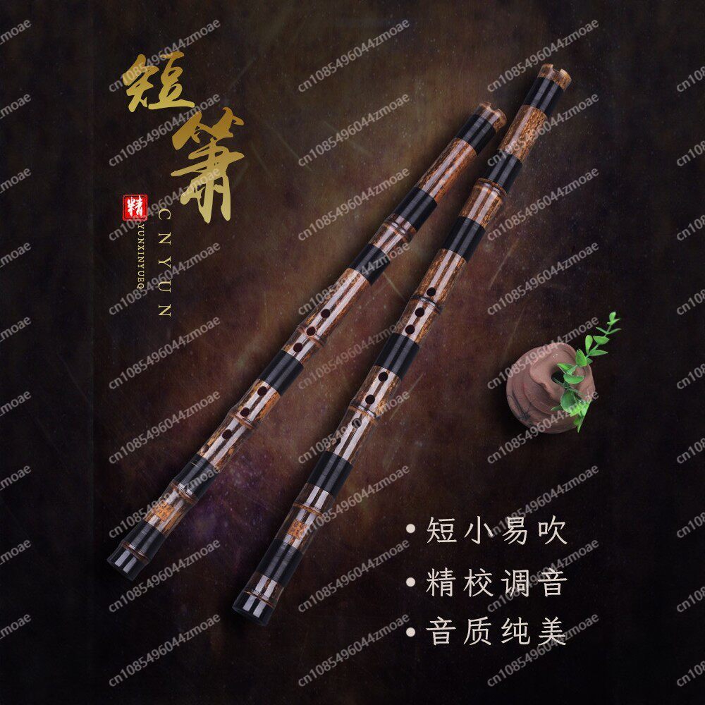 Flauto professionale in bambù  - Musical Instrument Xiao recensione e prezzo
