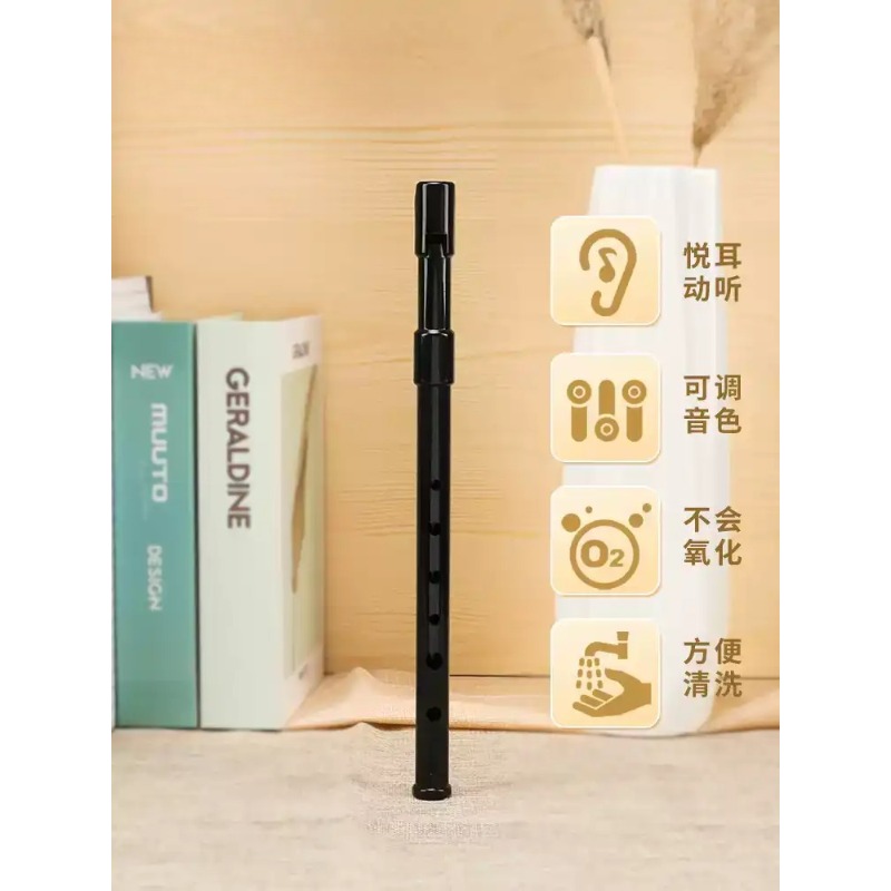 Flauto di Tin Flute Universe G - Tin Whistle Flute recensione e prezzo