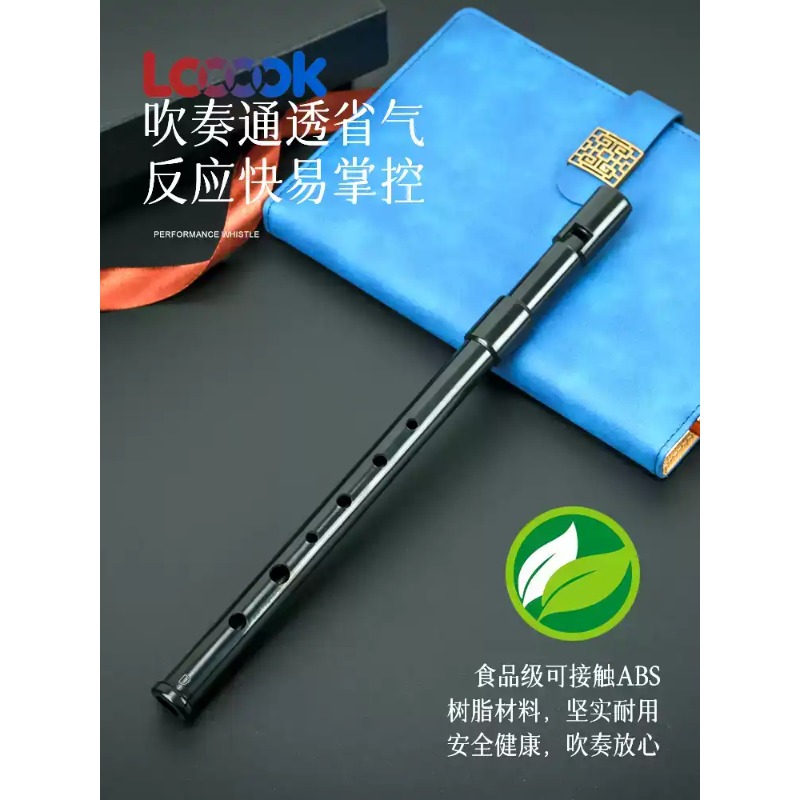 Flauto di Tin Flute Universe G - Tin Whistle Flute recensione e prezzo