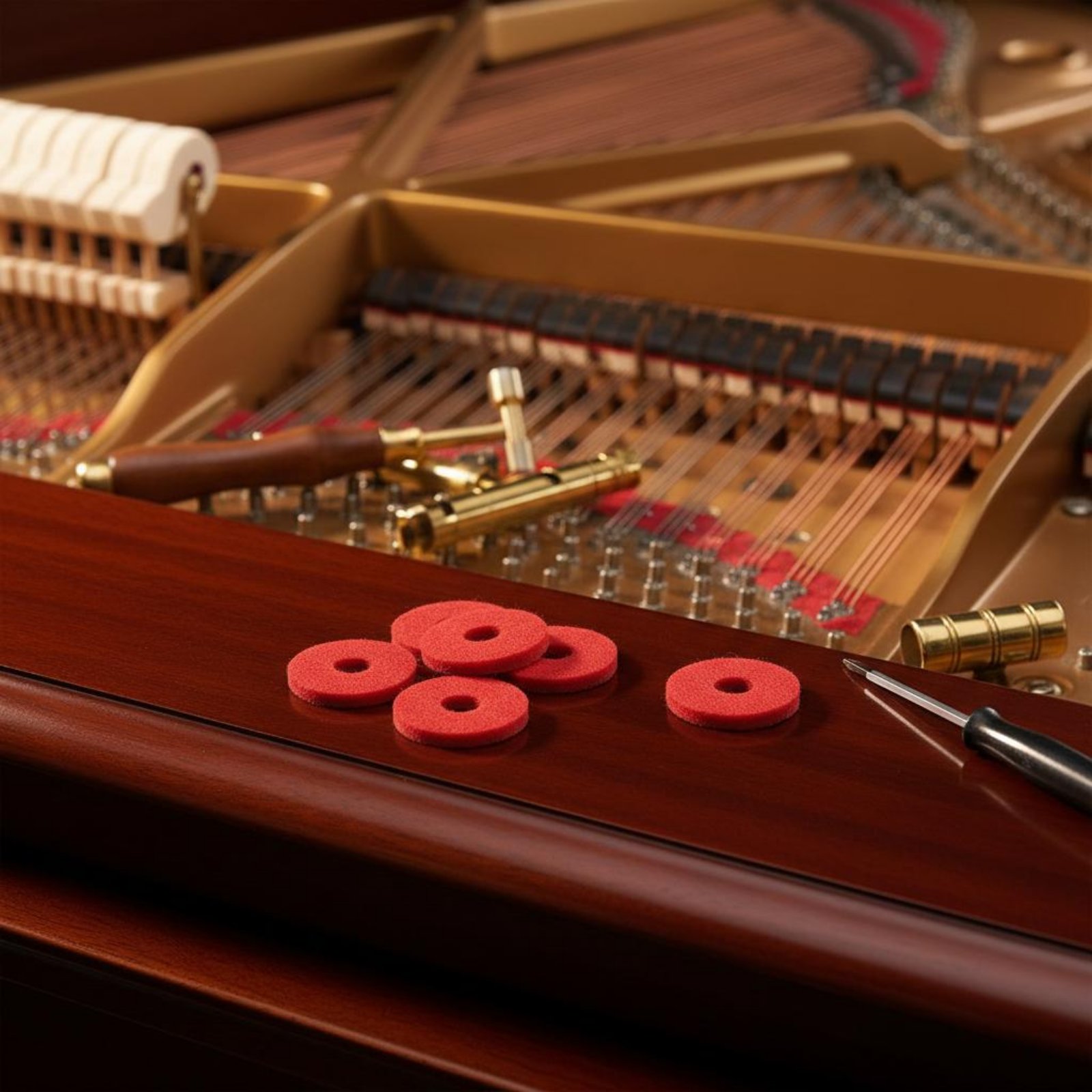 Guarnizione per tasti di piano - A Musical Instrument With Keys recensione e prezzo