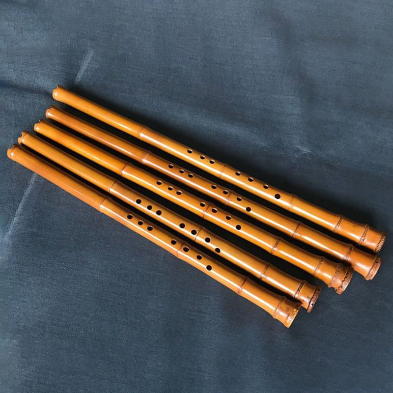 Bambù a 8 fori Xiao Performanc - Musical Instrument Xiao recensione e prezzo