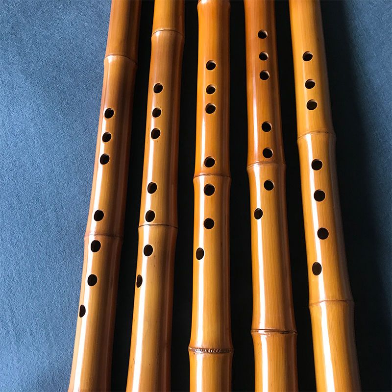 Bambù a 8 fori Xiao Performanc - Musical Instrument Xiao recensione e prezzo