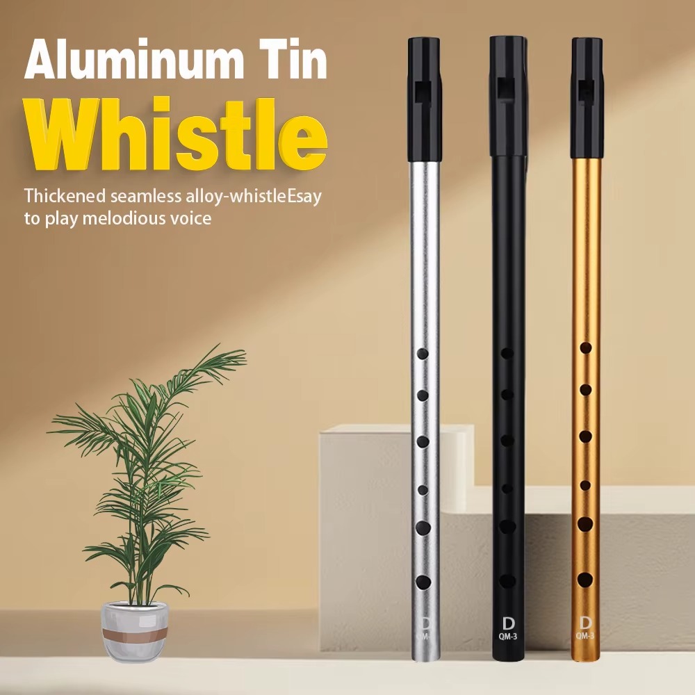 Fisarmonica irlandese a 6 fori - Tin Whistle Flute recensione e prezzo