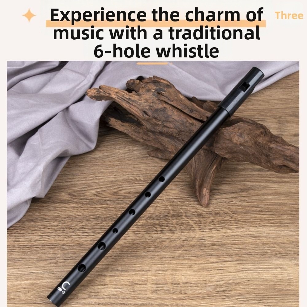 Fisarmonica irlandese a 6 fori - Tin Whistle Flute recensione e prezzo