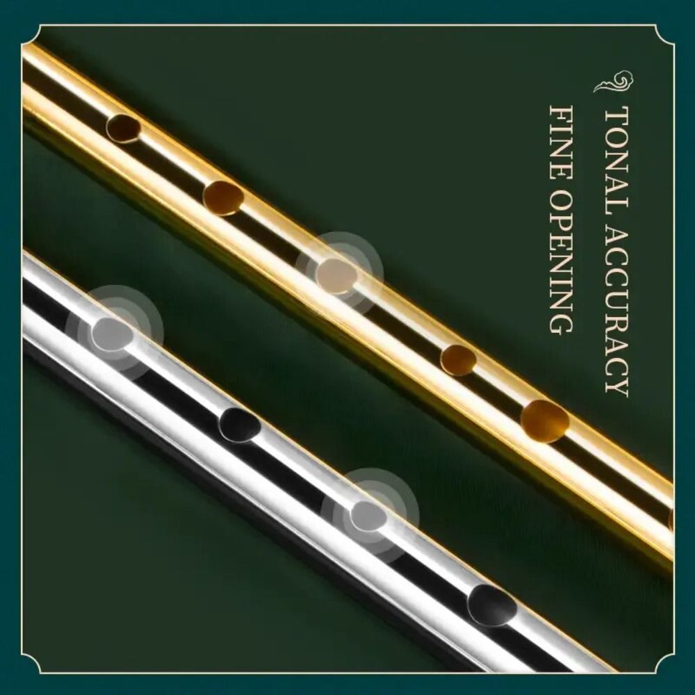 Fisarmonica irlandese a 6 fori - Tin Whistle Flute recensione e prezzo
