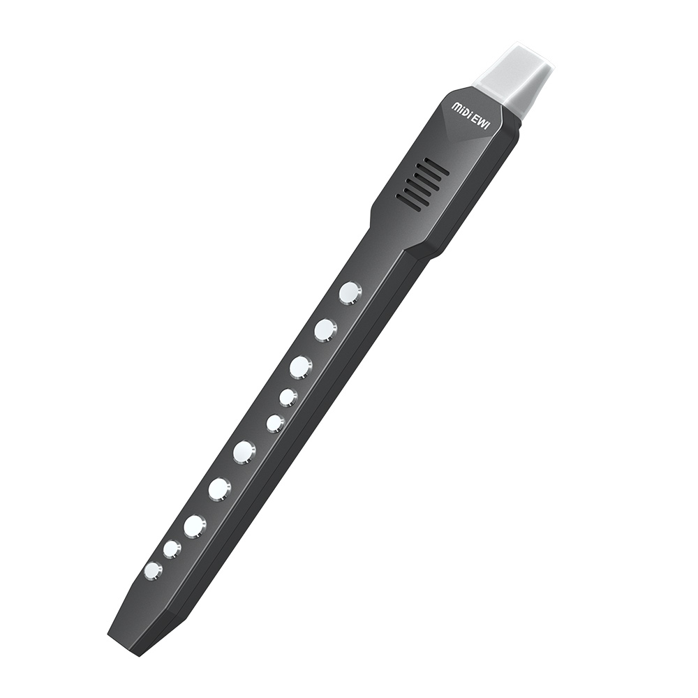 Piccolo flauto trasversale ele - Musical Instrument Theremin recensione e prezzo
