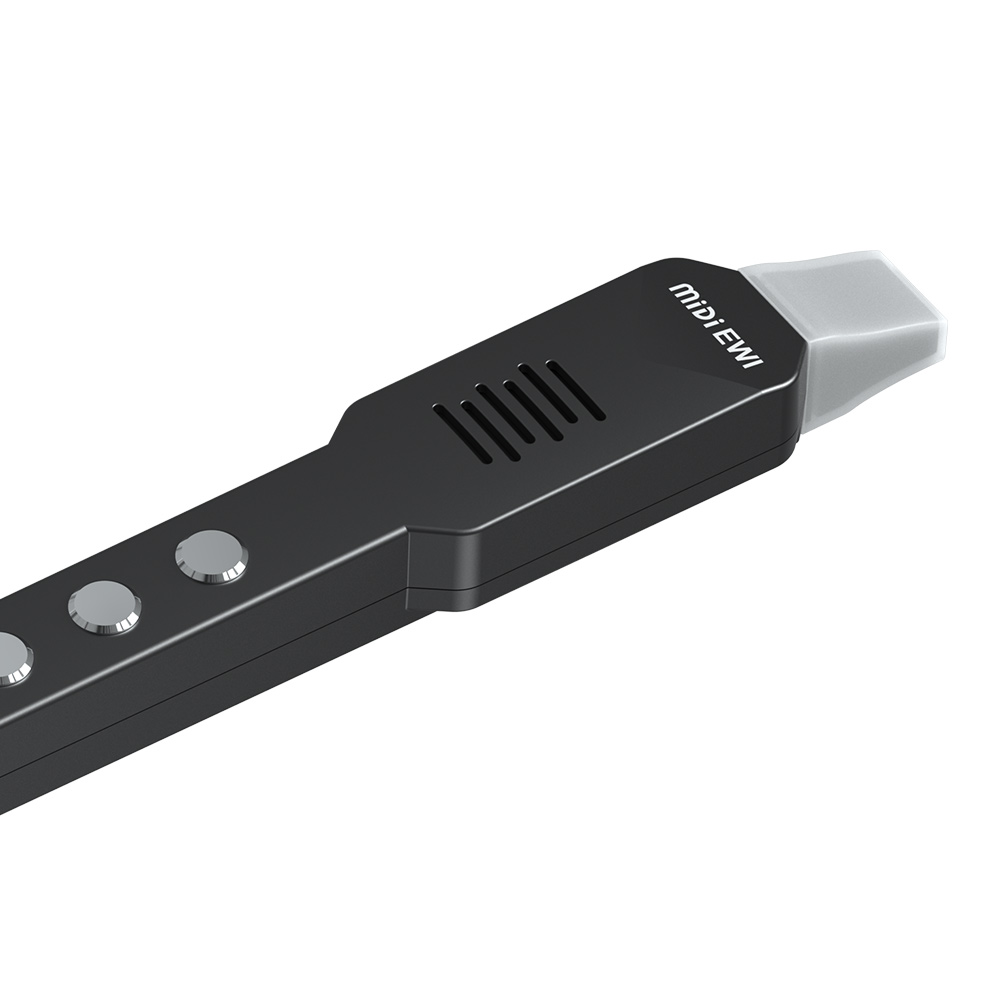 Piccolo flauto trasversale ele - Musical Instrument Theremin recensione e prezzo