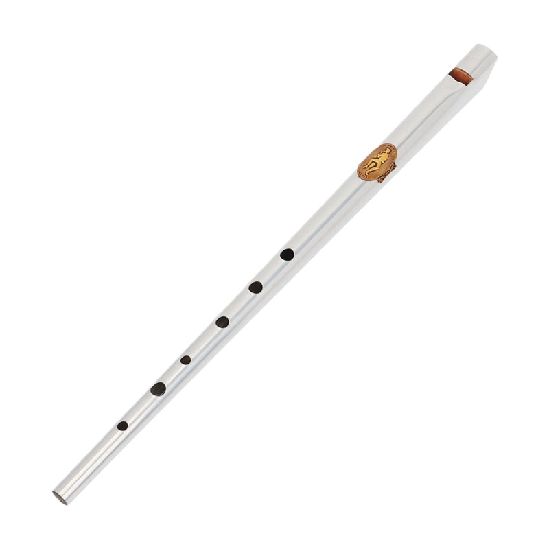 Chiave D/C Fischietto di latta - Tin Whistle Flute recensione e prezzo