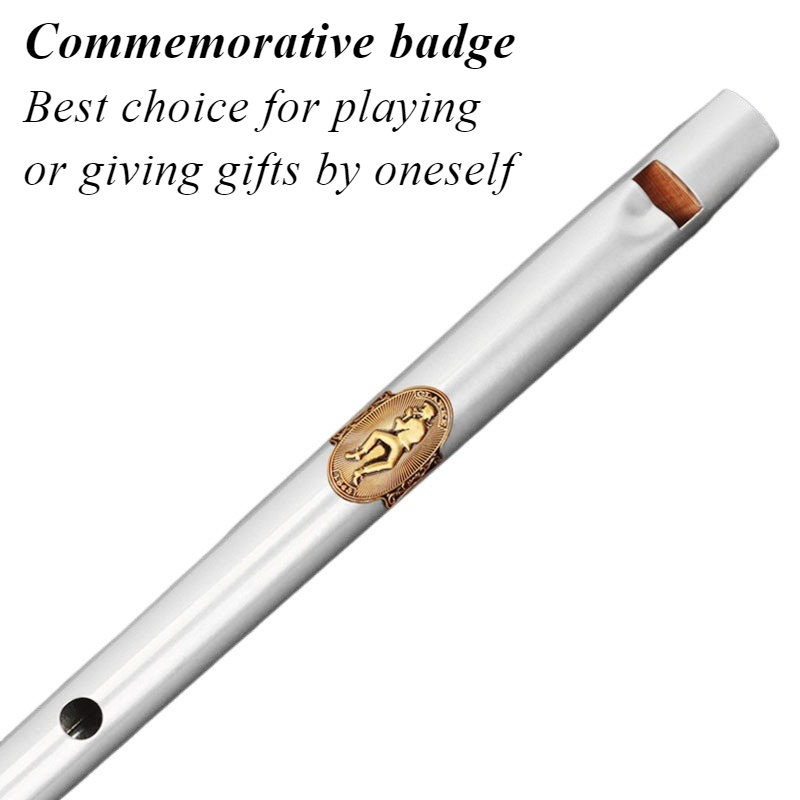 Chiave D/C Fischietto di latta - Tin Whistle Flute recensione e prezzo