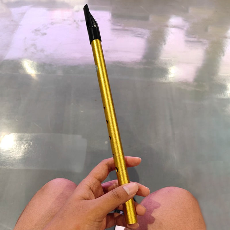 Flauto a 6 Fori per Studenti e - Tin Whistle Flute recensione e prezzo