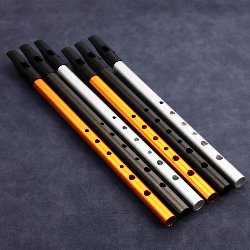 Flauto a 6 Fori per Studenti e - Tin Whistle Flute recensione e prezzo