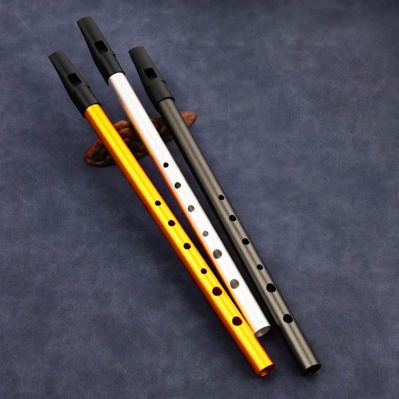 Flauto a 6 Fori per Studenti e - Tin Whistle Flute recensione e prezzo